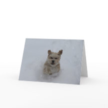 Puppy dashing through the snow greeting card