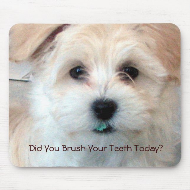Puppy - Did You Brush Your Teeth Today? Mouse Pad (Front)