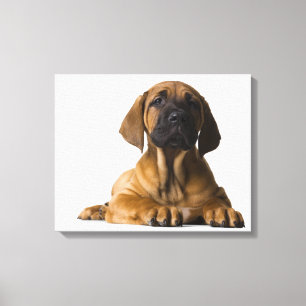 Puppy Dog 2 Canvas Print
