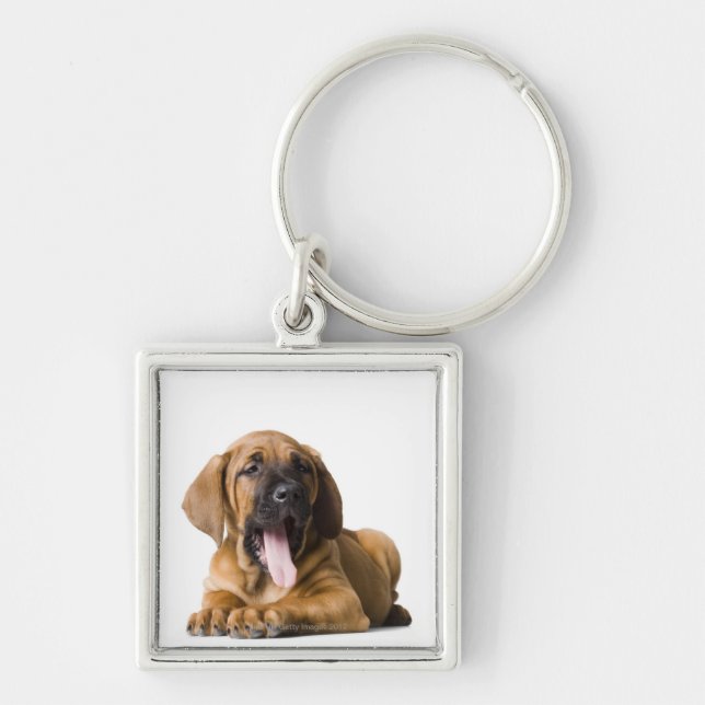 Puppy Dog 2 Key Ring (Front)