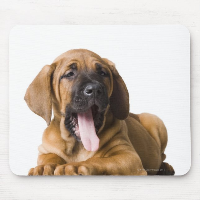 Puppy Dog 2 Mouse Pad (Front)