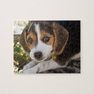 Puppy Dog Beagle Jigsaw Puzzle