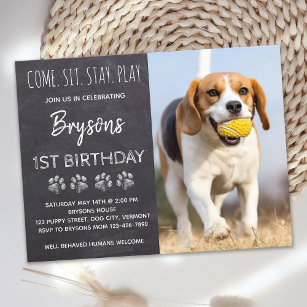 Puppy Dog Birthday Come Sit Stay Play Party Postcard