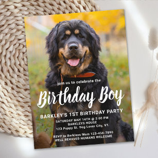 Puppy Dog Birthday Party Custom Pet Photo Invitation Postcard