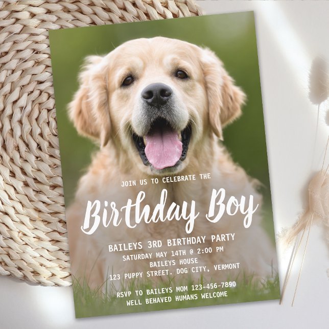 Puppy Dog Birthday Party Pet Photo Invitation (Creator Uploaded)
