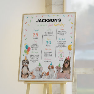Puppy Dog Boy Birthday Milestone Sign Poster