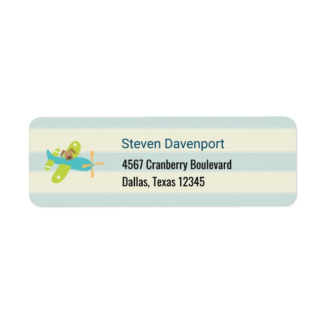 Puppy Dog in a Toy Aeroplane Cute (Front)