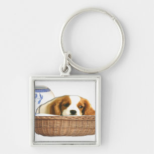 Puppy Dogs Key Ring