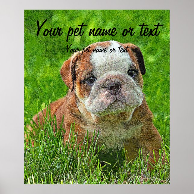 Puppy English Bulldog in the Meadow Poster (Front)