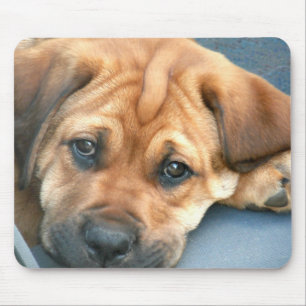 Puppy Eyes Mousepad