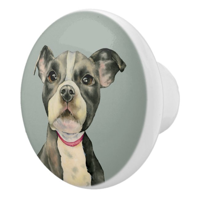 "Puppy Eyes" Pit Bull Dog Watercolor Painting Ceramic Knob (Right)