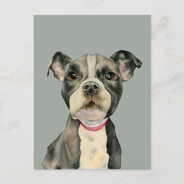 "Puppy Eyes" Pit Bull Dog Watercolor Painting Postcard (Front)