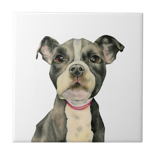 "Puppy Eyes" Pit Bull Dog Watercolor Painting Tile (Front)