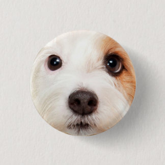 Puppy Face 3 Cm Round Badge