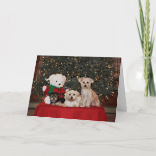 Puppy Family Holiday Card