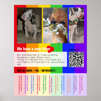 Puppy for sale flyer with QR code Poster