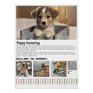 Puppy Fostering Poster