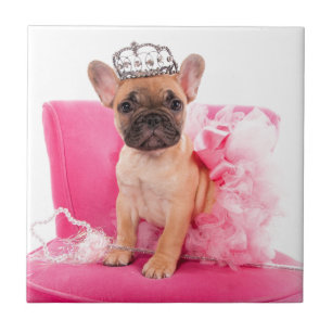 Puppy french bulldog disguised tile