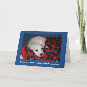 Puppy get well card