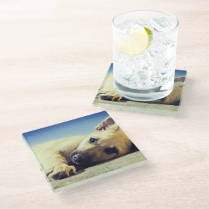 Puppy Glass Coaster