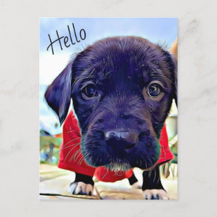 Puppy Hello Postcard