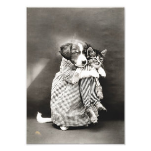 Puppy Holding Small Kitten Photo Print