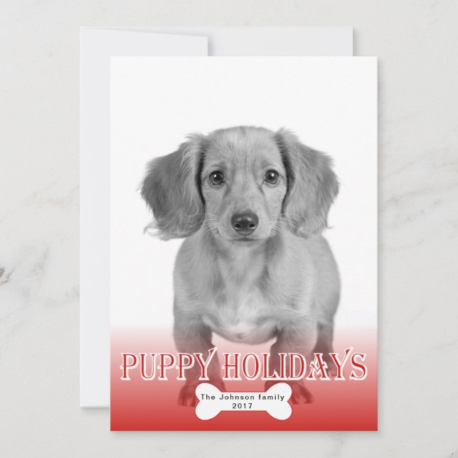 Puppy holidays bone red pet Christmas photo Holiday Card (Front)