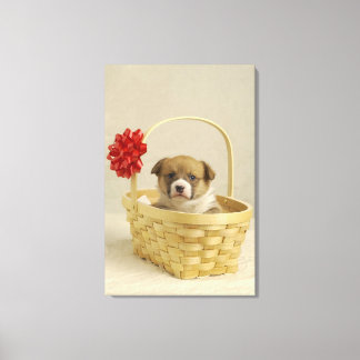 Puppy in a basket canvas print