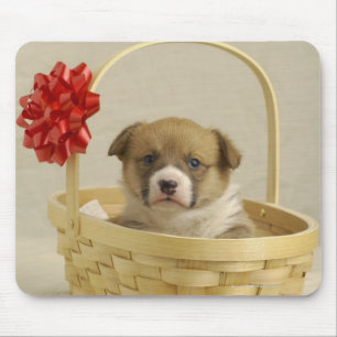Puppy in a basket mouse pad