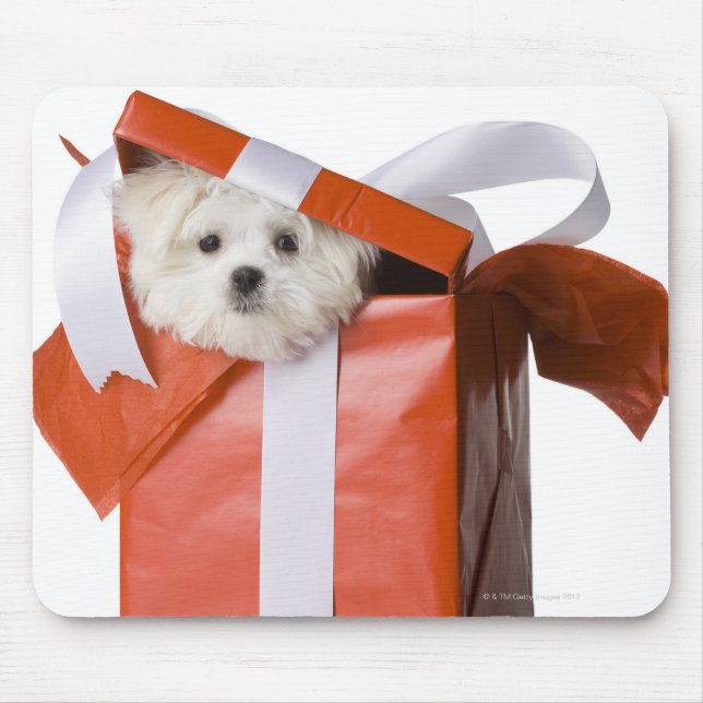 puppy in a box mouse pad (Front)