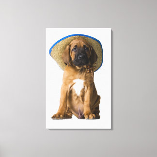 puppy in a cowboy hat canvas print