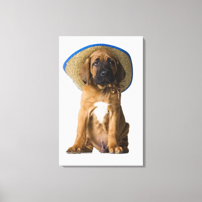 puppy in a cowboy hat canvas print (Front)