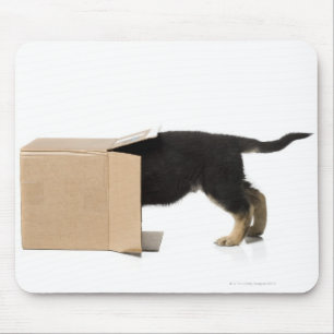 Puppy in cardboard box mouse pad