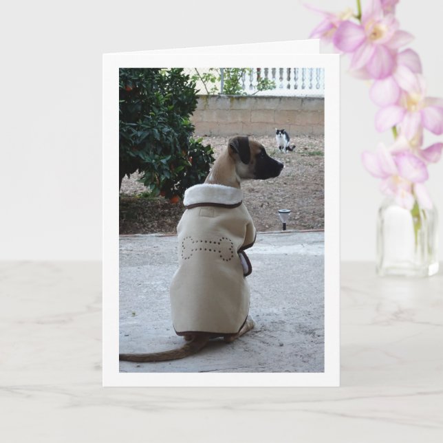 Puppy in Coat Card (Orchid)