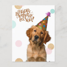 Puppy in Party Hat Birthday Postcard
