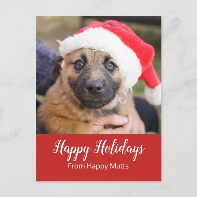Puppy In Santa Hat Dog Care Business Holiday Postcard (Front)