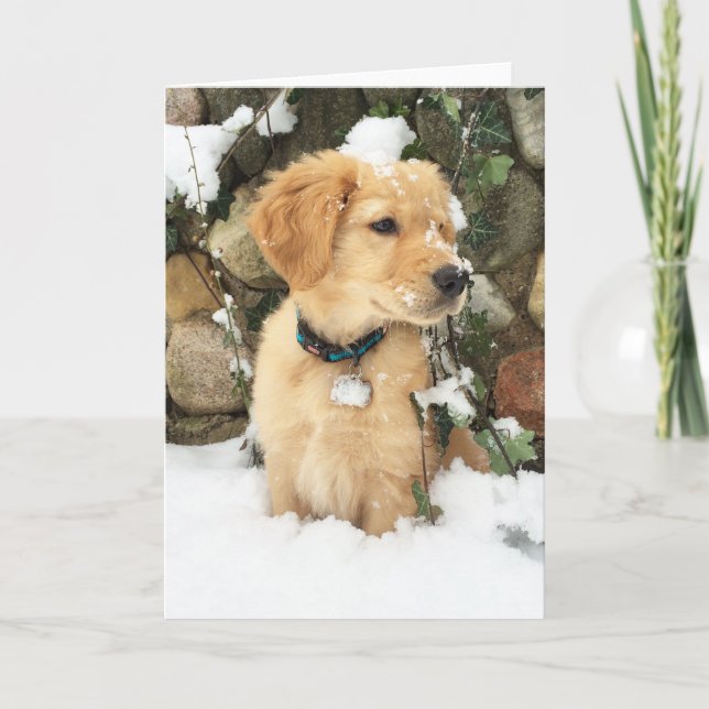 puppy in snow  | golden puppy  holiday card (Front)