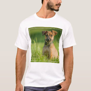 Puppy In The Grass T-Shirt