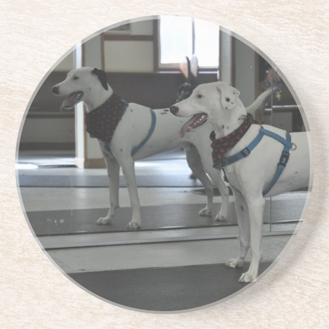 Puppy in the mirror coaster (Front)