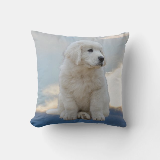 Puppy in the Sky Pillow (Front)