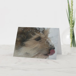 Puppy in the Snow Card