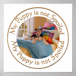 Puppy is Not Spoiled Poster