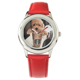 Puppy kids watch