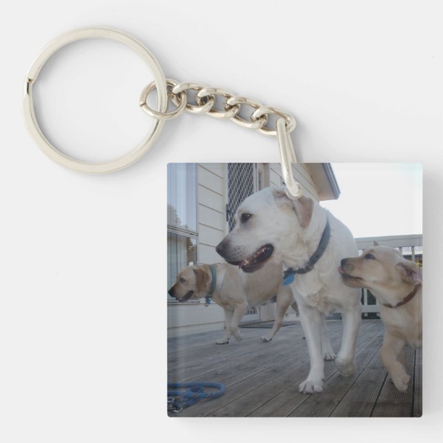Puppy Kisses: Cream Color Labrador Family Love,  Key Ring (Front)