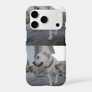 Puppy Kisses: Cream Colour Labrador Family Love,