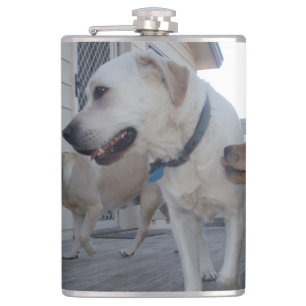 Puppy Kisses: Cream Colour Labrador Family Love, Hip Flask