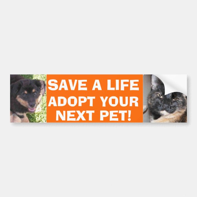 Puppy & Kitty Bumper Sticker (Front)