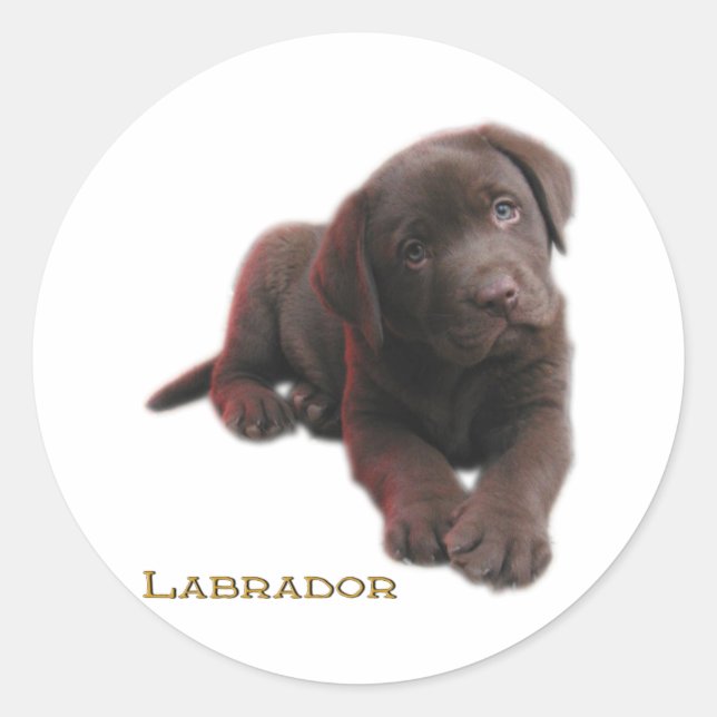 Puppy Lab Classic Round Sticker (Front)