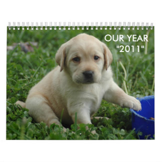 puppy-lab-HD-wallpaper,  OUR YEAR    "2011" Calendar