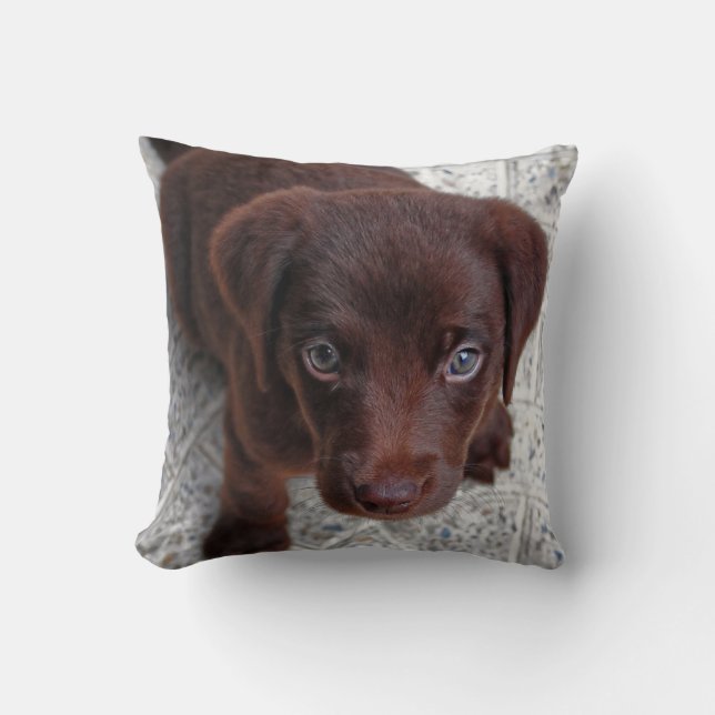 Puppy Love Cushion (Front)